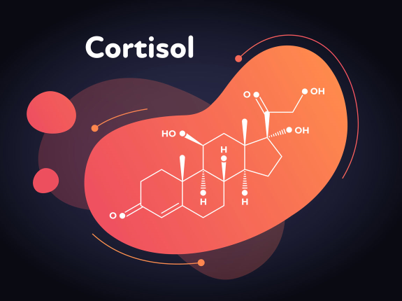 Kortyzol - wróg czy przyjaciel? Czy warto obniżać poziom kortyzolu?