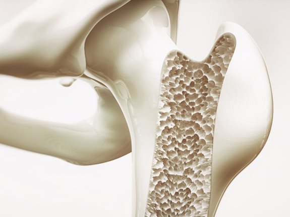 Jelita a osteoporoza - jak zdrowe jelita ograniczają ryzyko osteoporozy?