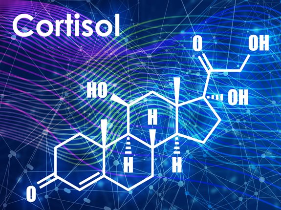 Czy hormon stresu, kortyzol powoduje insulinooporność?